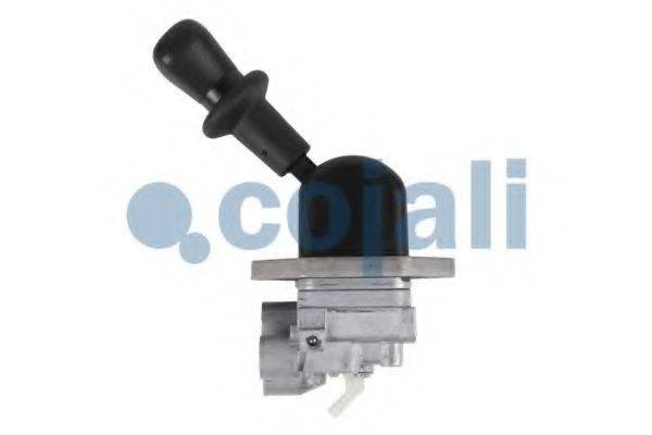 COJALI 2324124