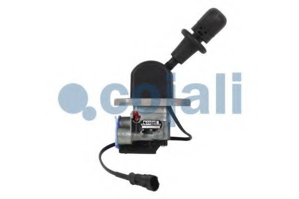 COJALI 2324302