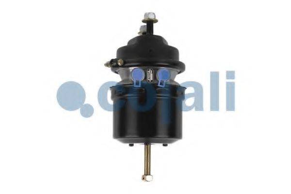 COJALI 2351305