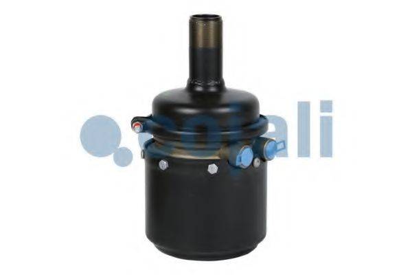 COJALI 2351418