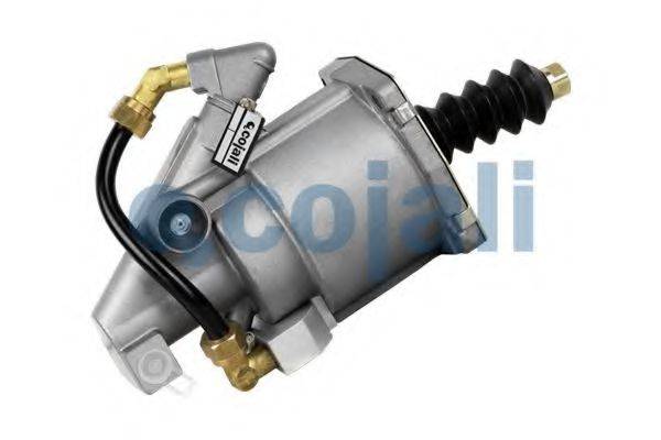 COJALI 2550401