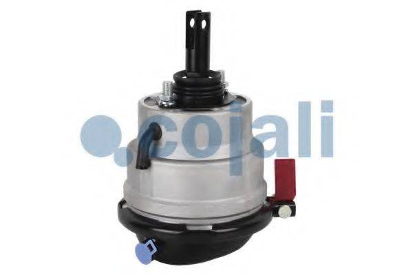 COJALI 2851407