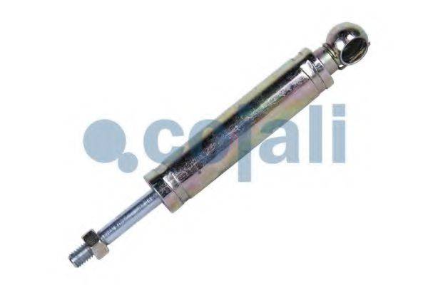 COJALI 2880116