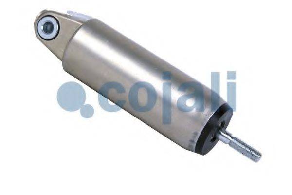 COJALI 2880118
