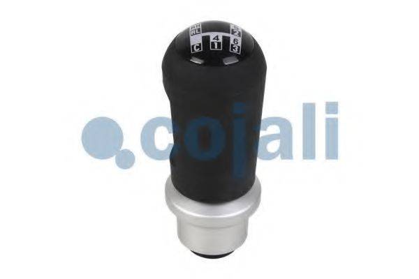 COJALI 2880134
