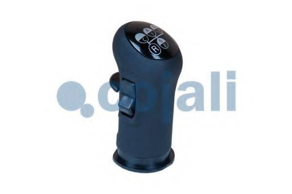 COJALI 2880136