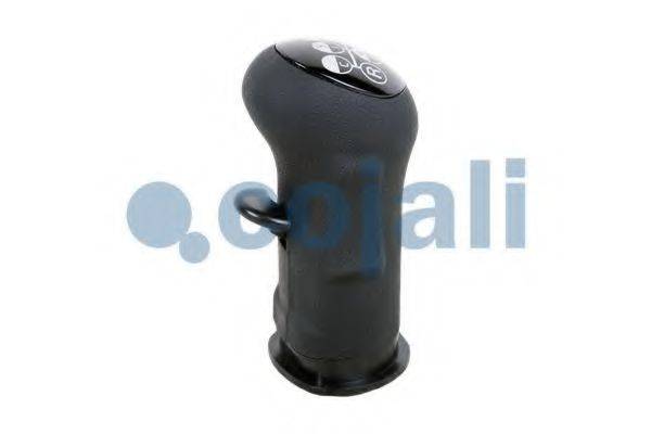 COJALI 2880138