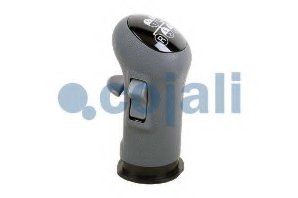 COJALI 2880139