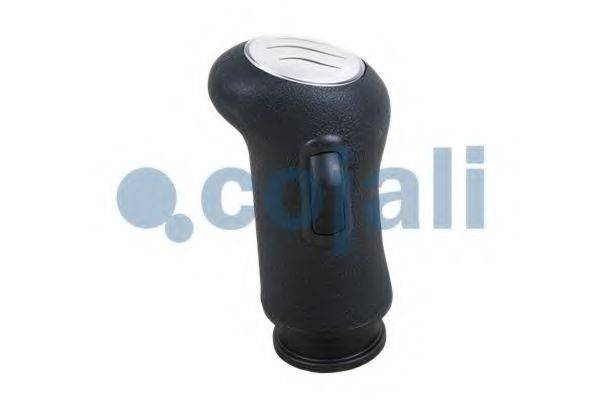 COJALI 2880157