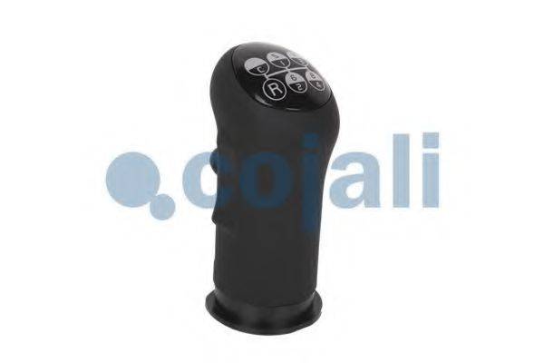 COJALI 2880159