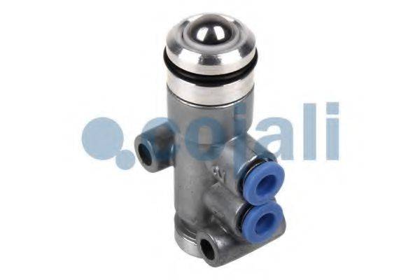 COJALI 2880167