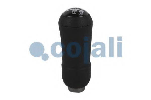 COJALI 2880175