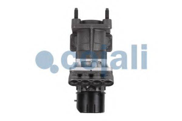 COJALI 354013