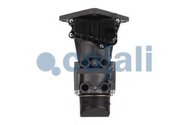 COJALI 354015