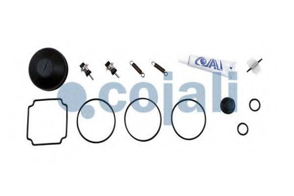 COJALI 6012004