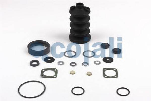 COJALI 6012007