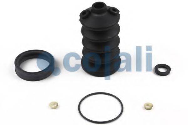 COJALI 6012014