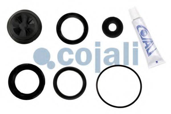 COJALI 6012182