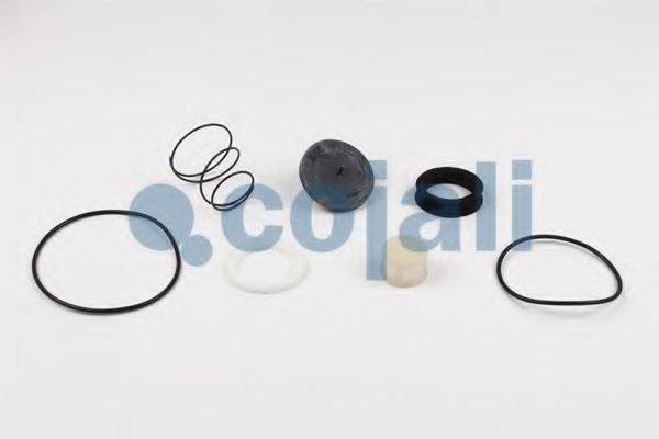COJALI 6012189