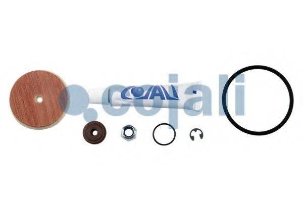 COJALI 6012247