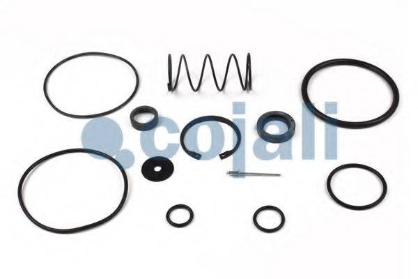 COJALI 6012252