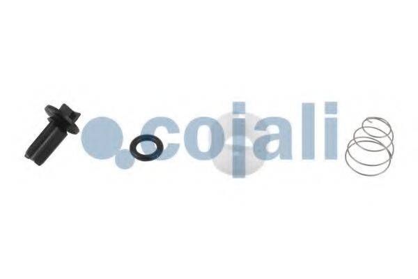 COJALI 6012288