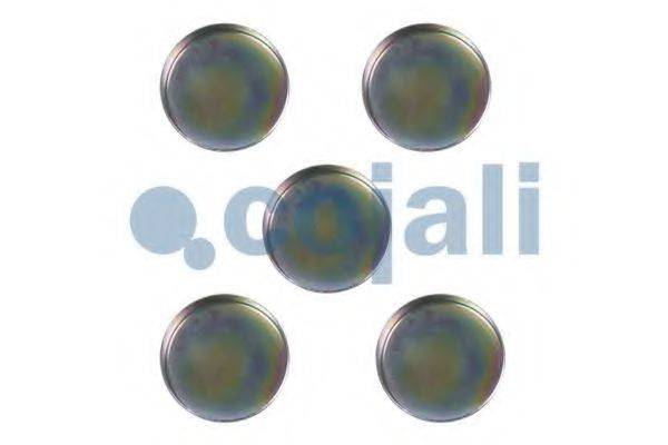 COJALI 6084008 Ремкомплект, гальмівний супорт