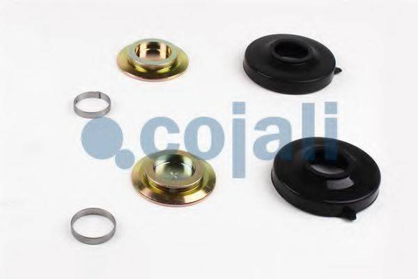 COJALI 6086038