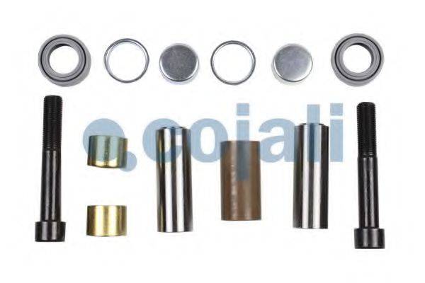 COJALI 6086040