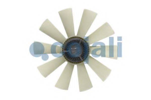 COJALI 7025104