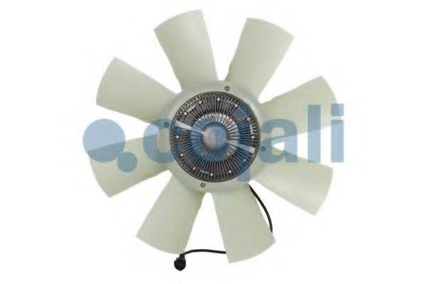COJALI 7025403
