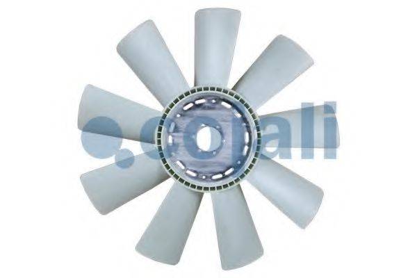 COJALI 7027101