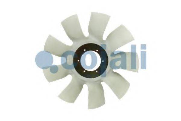 COJALI 7027121
