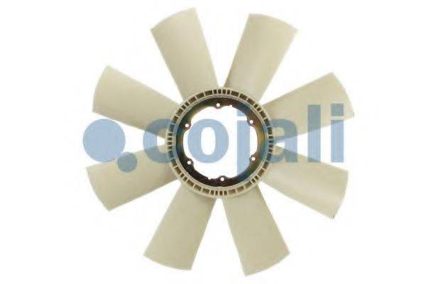 COJALI 7027131