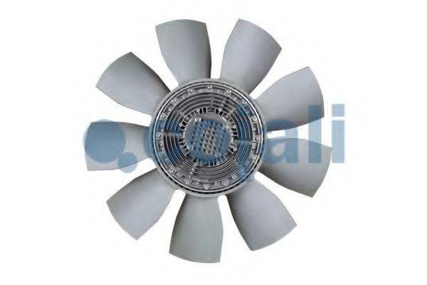 COJALI 7031176
