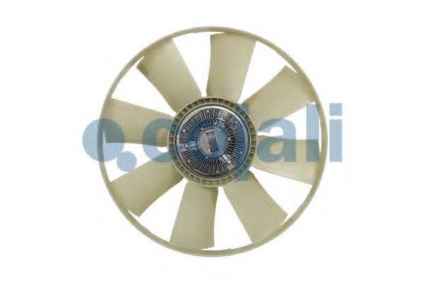 COJALI 7035104