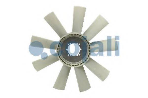 COJALI 7037111