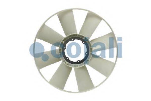 COJALI 7037115