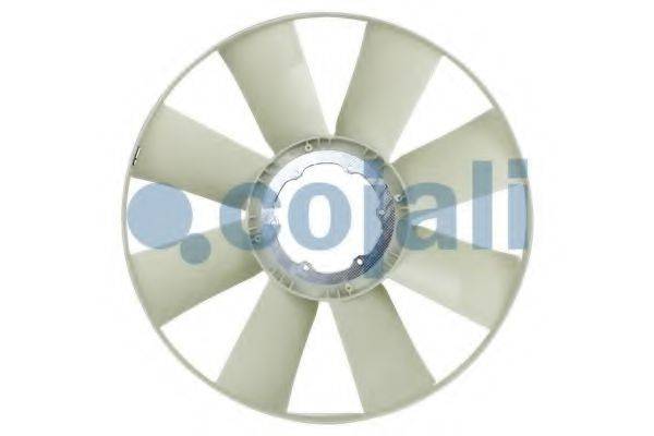 COJALI 7037120