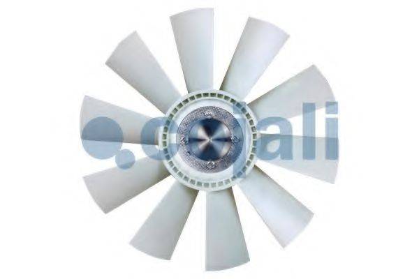 COJALI 7037128