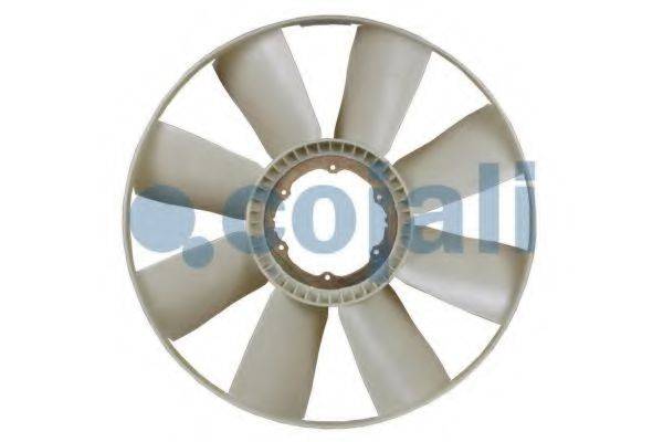 COJALI 7037131