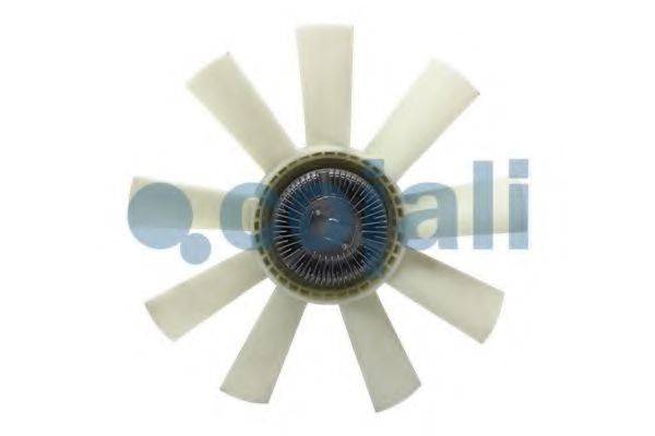 COJALI 7043195