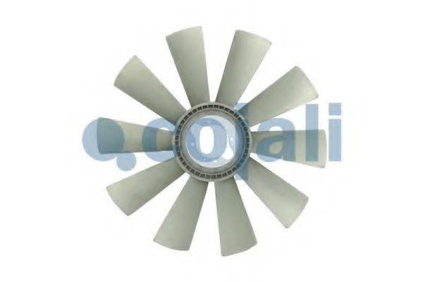 COJALI 7047126