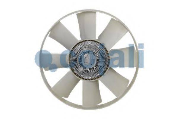COJALI 7055104