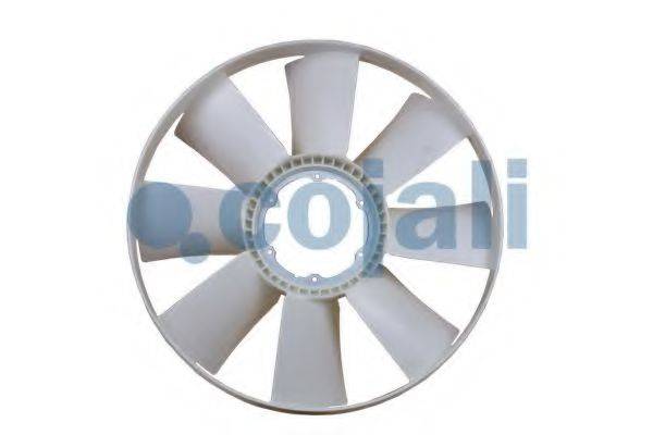 COJALI 7057102