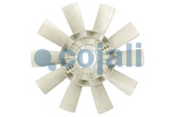 COJALI 7057121