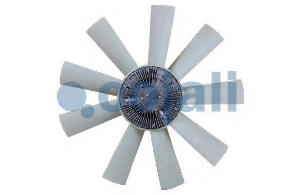 COJALI 7061208