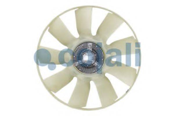 COJALI 7065102