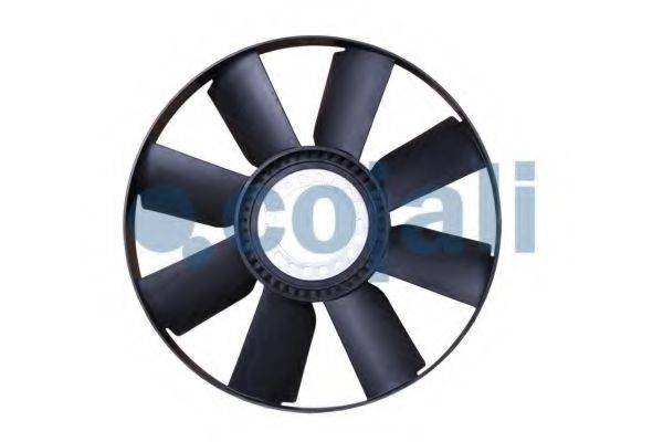 COJALI 7067102