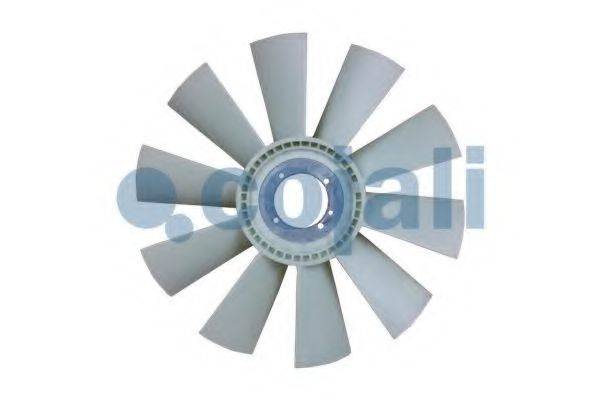 COJALI 7067119